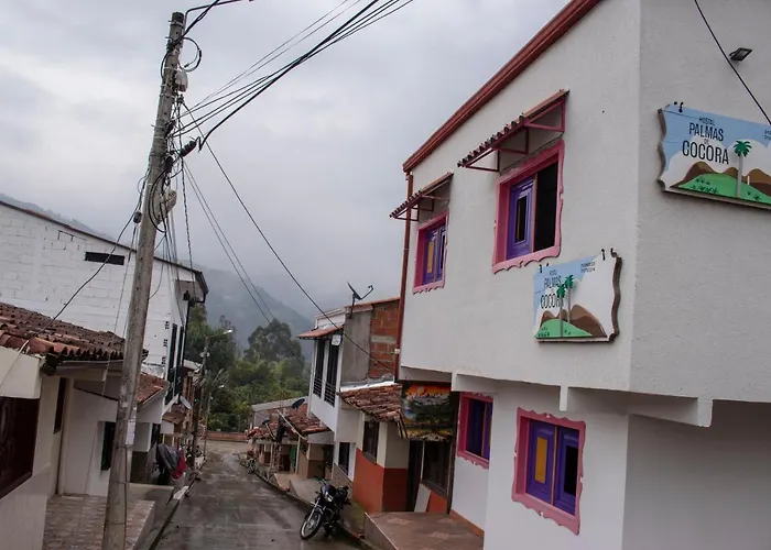 Hostal Palmas De Cocora Salento